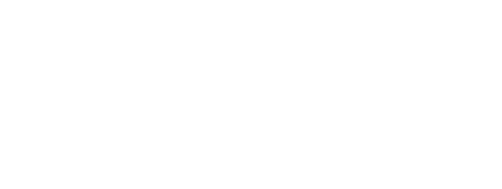 logo future force białe